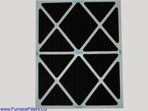 Dafco 20 x 25 x 1 Pleated Carbon Filters. Case of 12.